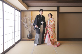 屋内庭園に桜が入りました！