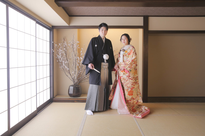 屋内庭園に桜が入りました！