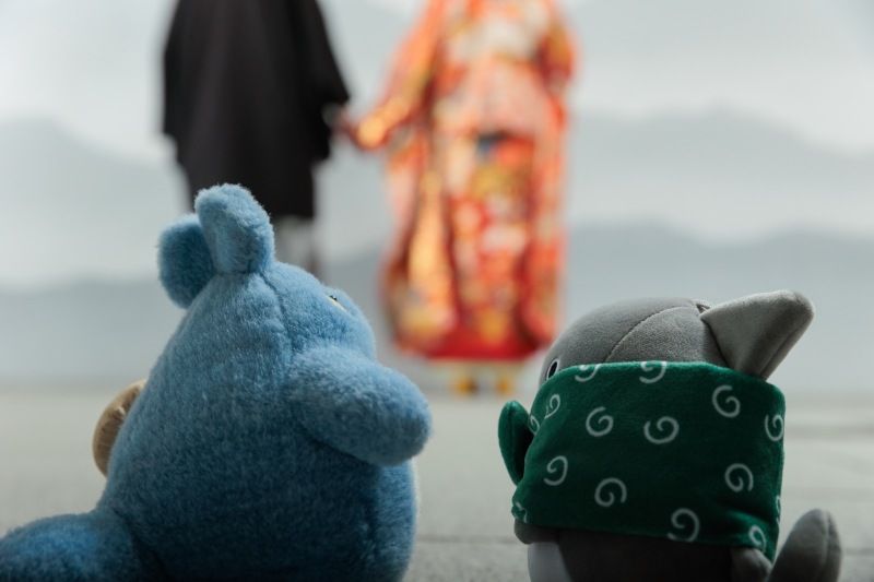 連れてって〜〜