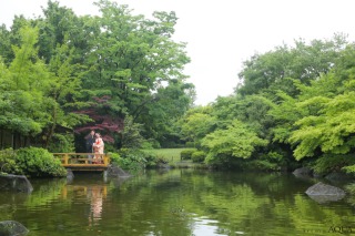 郷土博物館ロケーション
