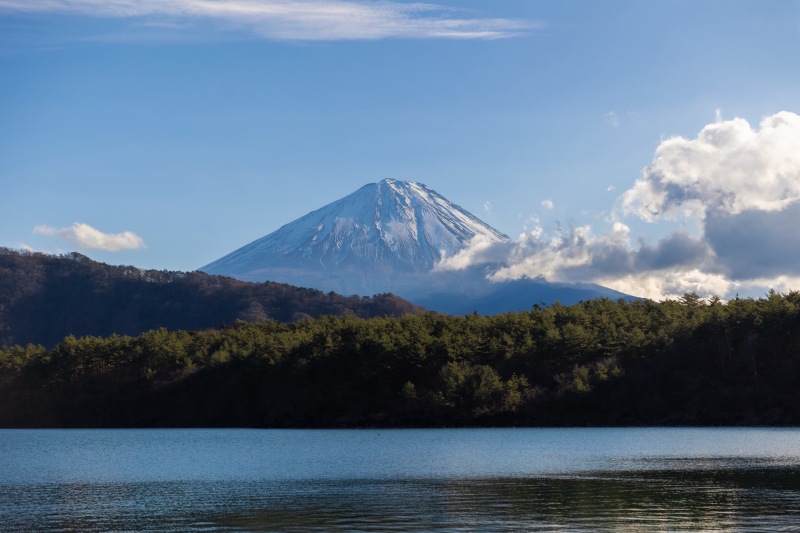 富士