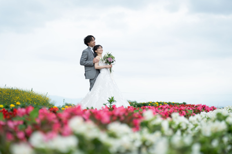 色鮮やかな花畑