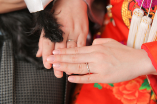 ワンちゃん撮影！