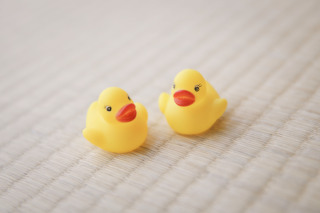 思い出のひよこちゃんと