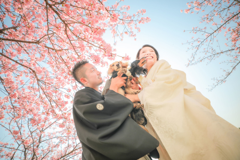 河津桜+屋内庭園プラン