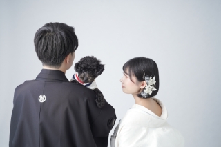 ワンちゃんと一緒に楽しむ無地背景