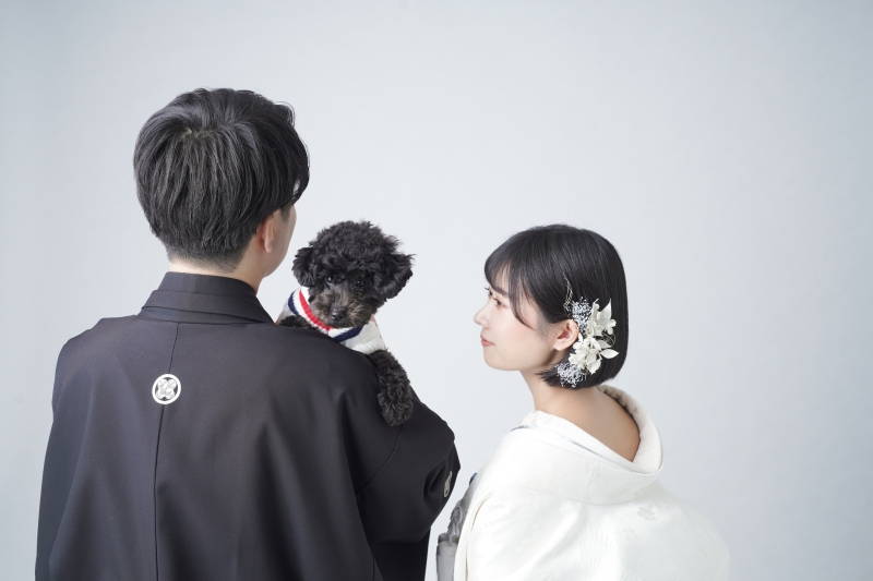 ワンちゃんと一緒に楽しむ無地背景