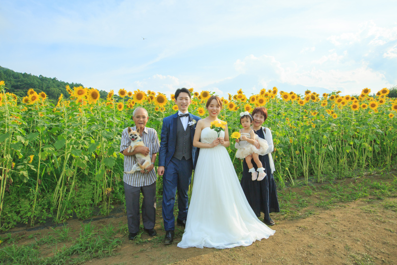 ひまわり畑でも！