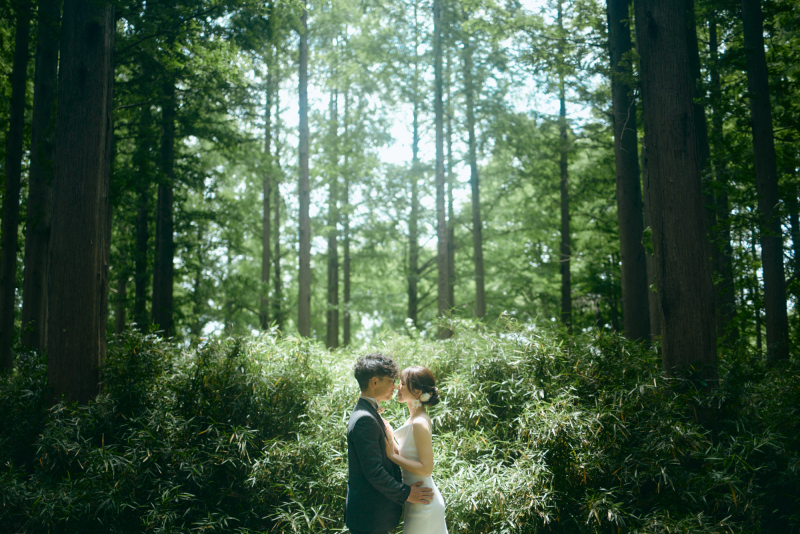 涼やかな緑が映える【水元公園ロケーション】