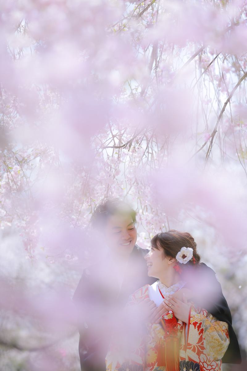 花畑記念庭園〜日本庭園と桜〜