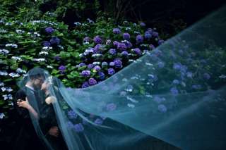 あじさいと撮るウェディングフォトが素敵！