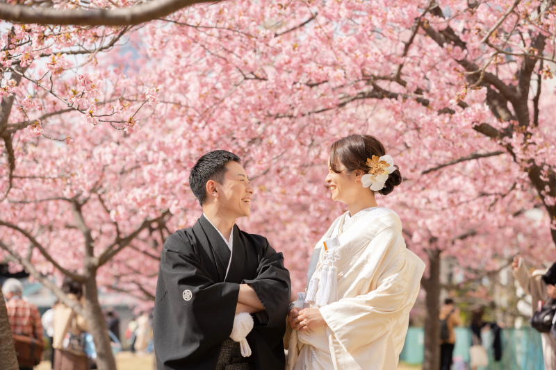 桜+浅草名所巡りロケーション