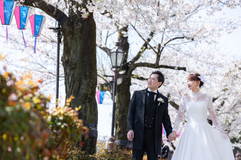 オプション撮影