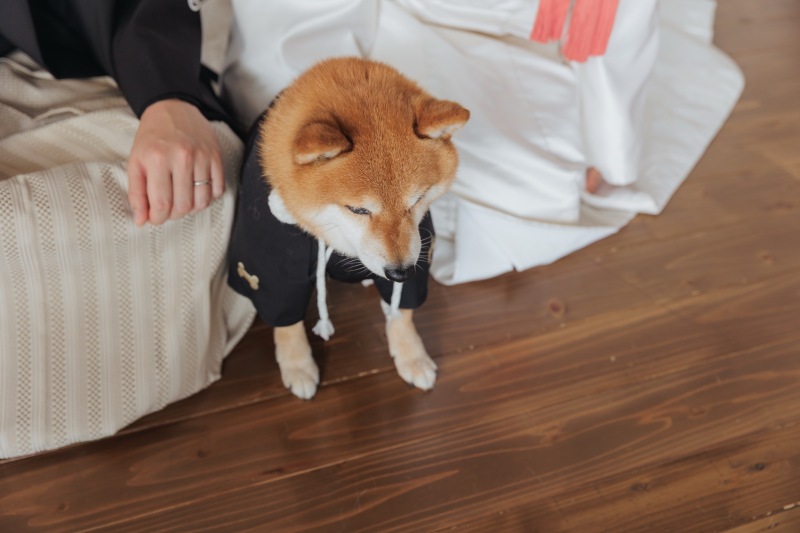 結び