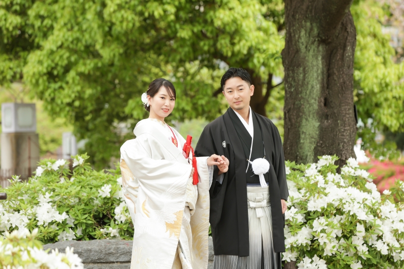 実は緑もあるんです