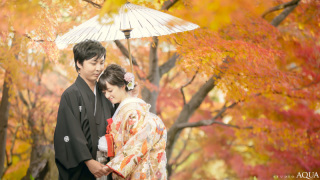 紅葉ロケーションフォト