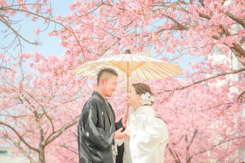 河津桜+屋内庭園プラン