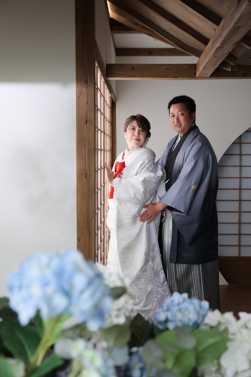 室内年中紫陽花撮影が可能！