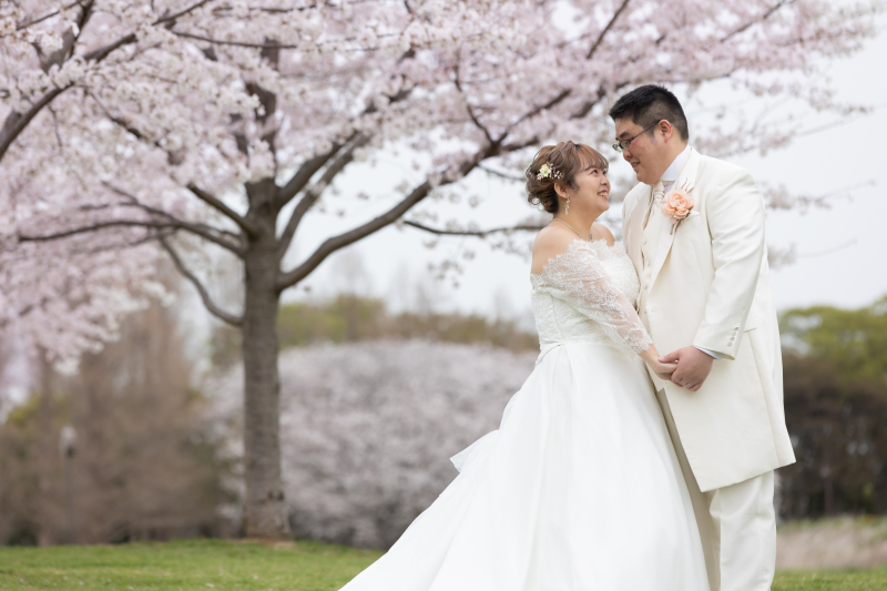 桜ロケーション