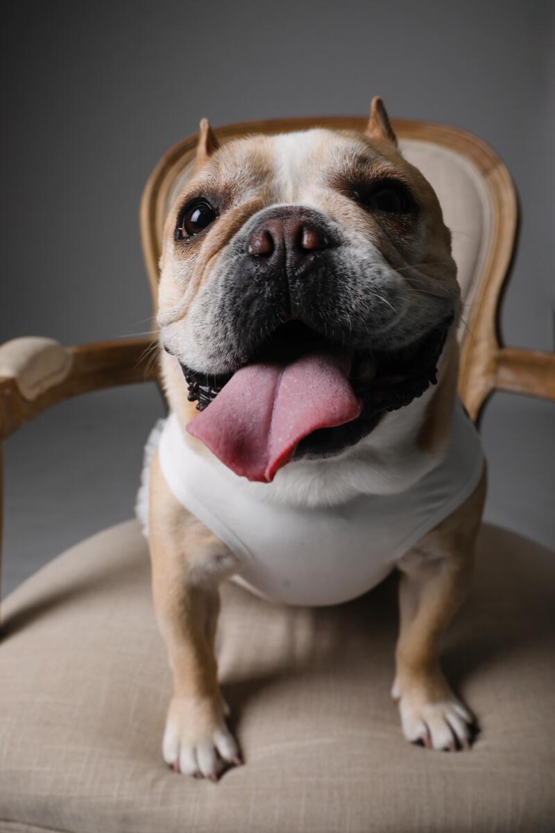 アップのお写真も