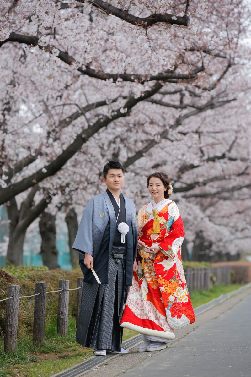 桜ロケーション