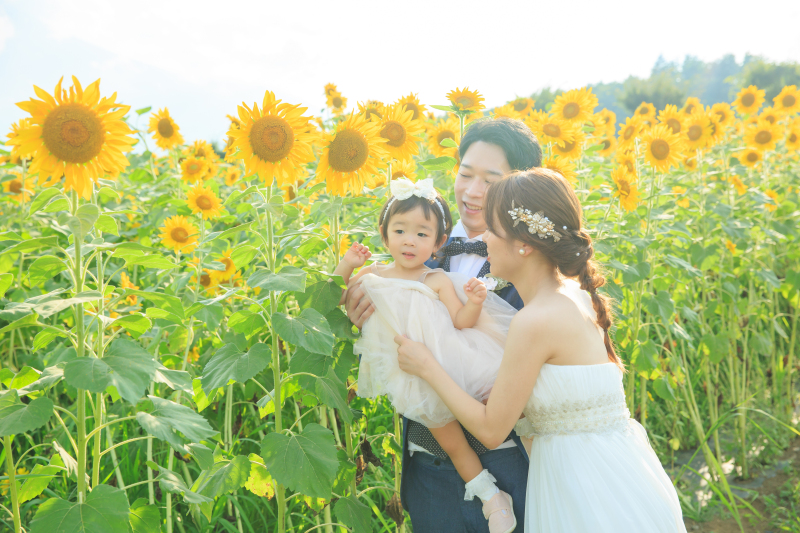 おっきなたんぽぽ！