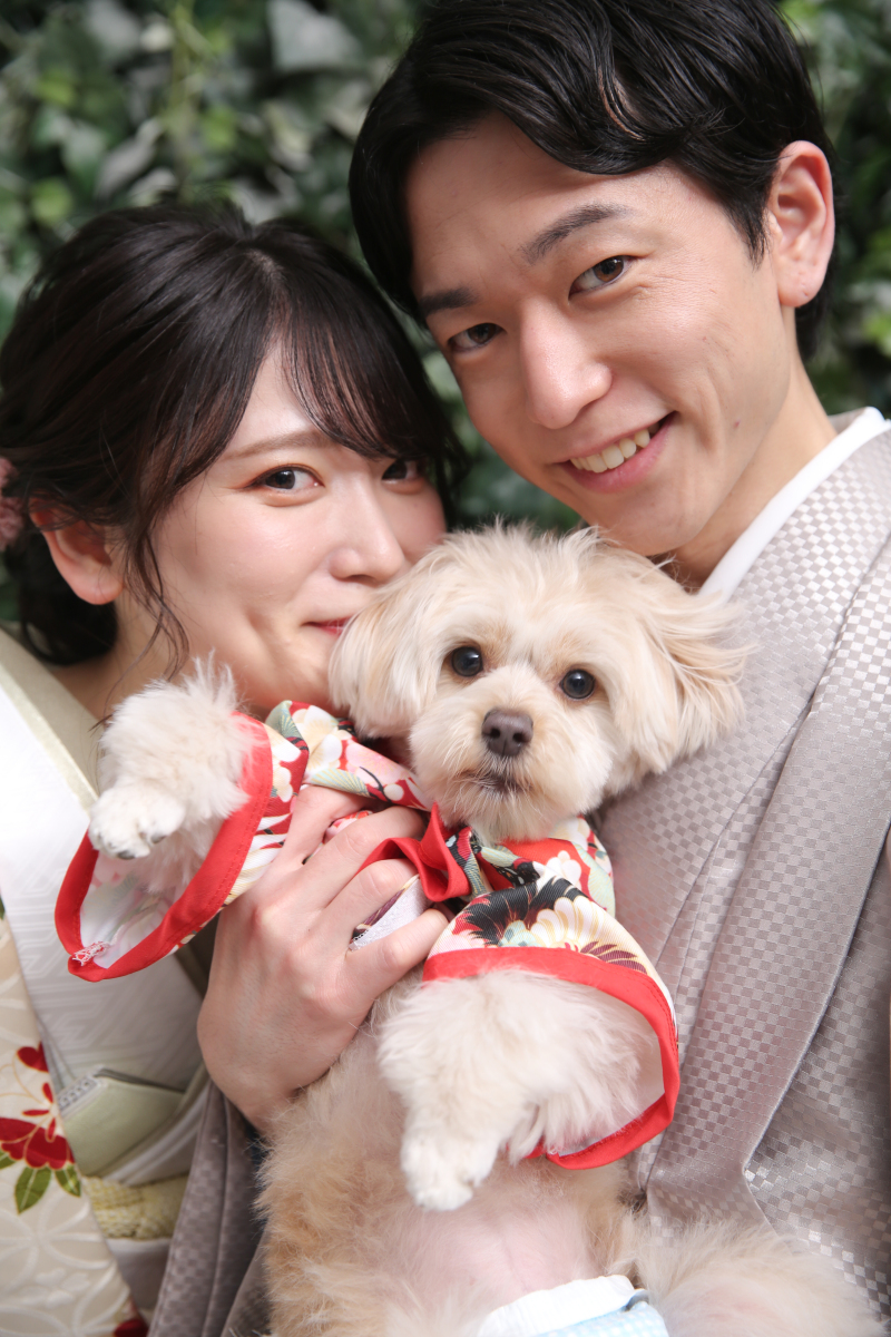 屋内庭園スタジオ