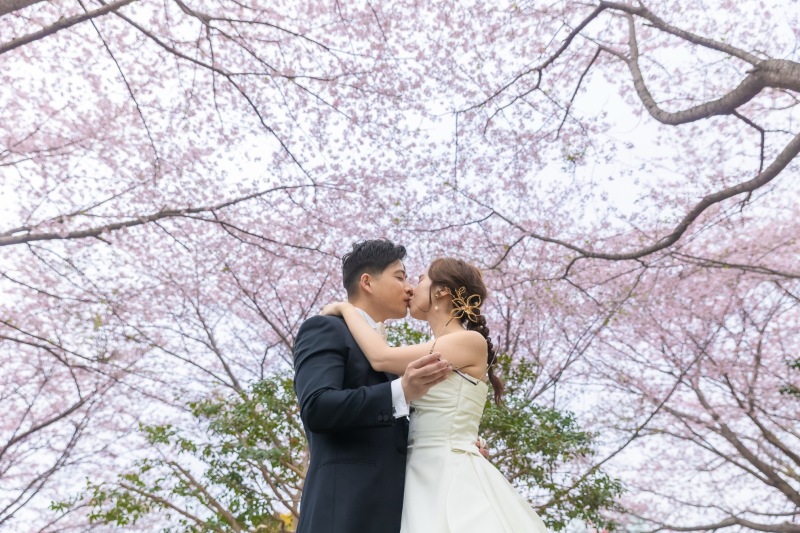 Kiss in the sakura