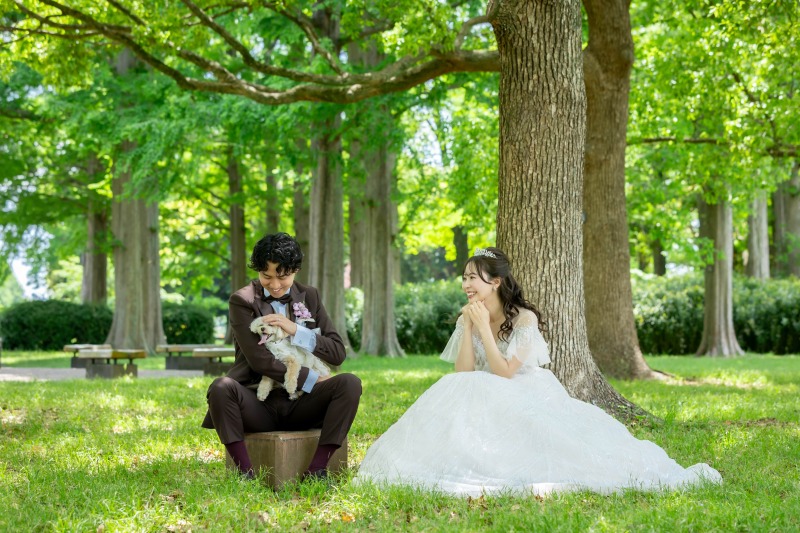 自然に囲まれた公園で