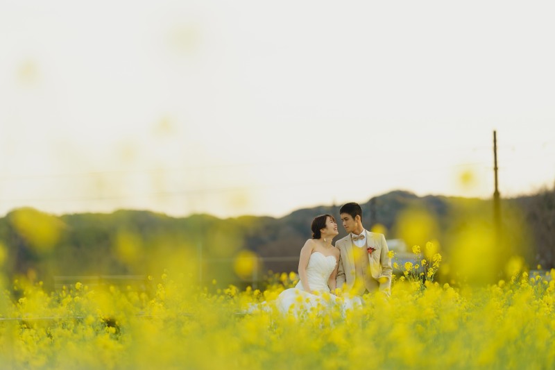 河津桜で春を感じてみませんか?