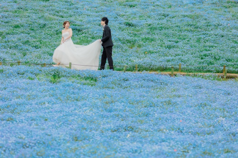ひたち海浜公園