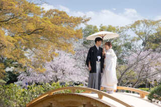 花田苑ロケーション撮影！桜シーズン