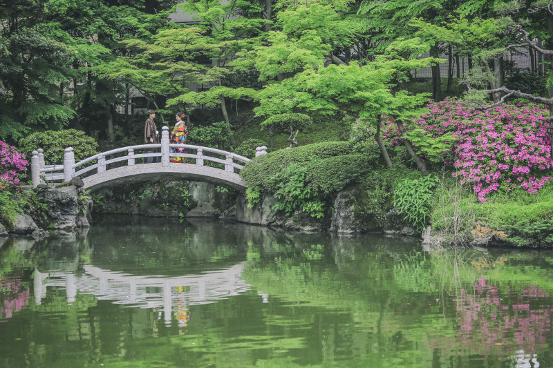 新緑のキレイな1枚