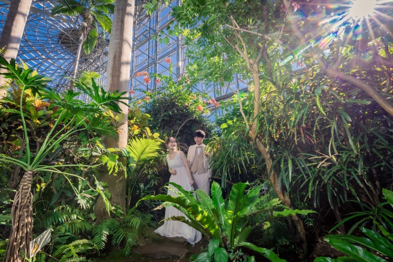 夢の島熱帯植物園