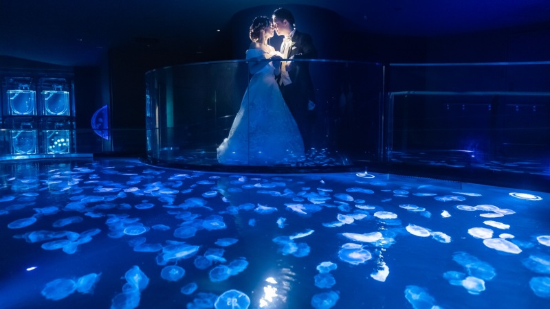 すみだ水族館