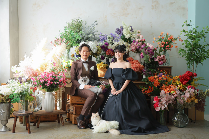 ねこちゃんたちと洋装ハウススタジオ撮影!