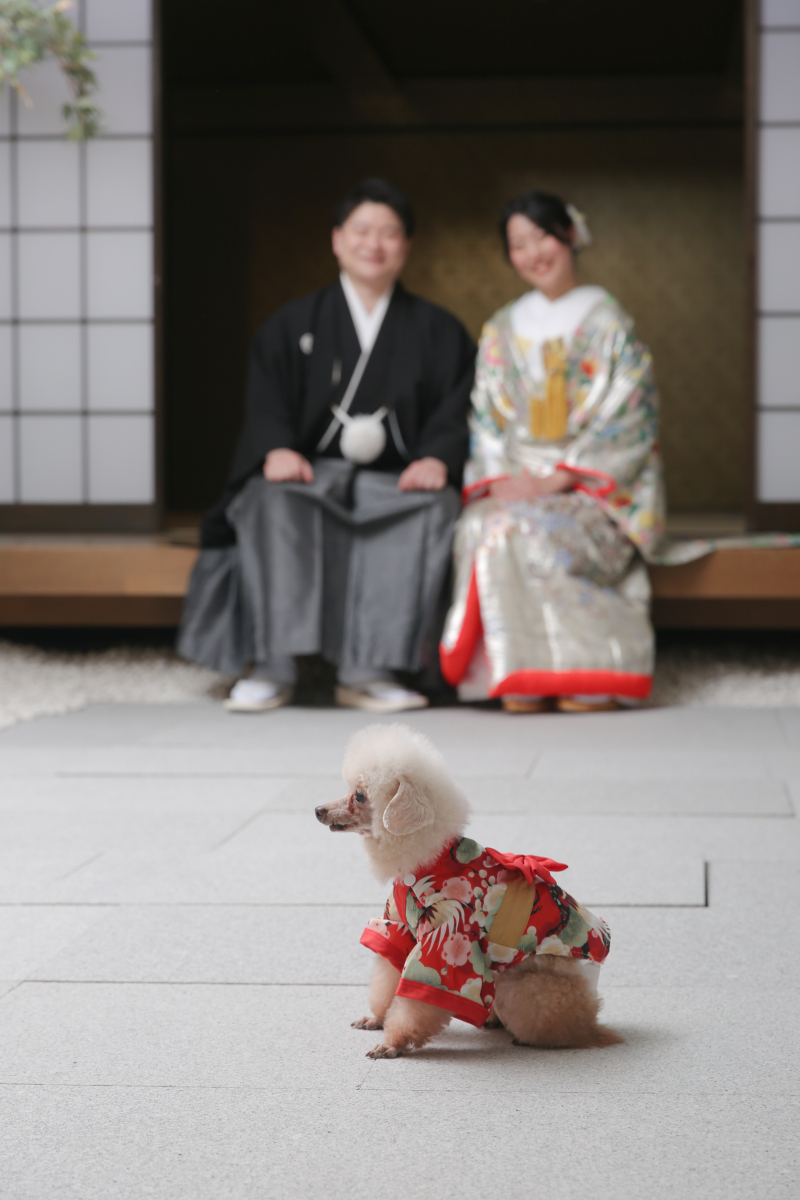 屋内庭園スタジオ