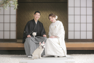 ペットと前撮り