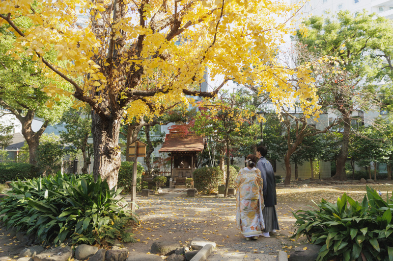 銀杏の木の下で