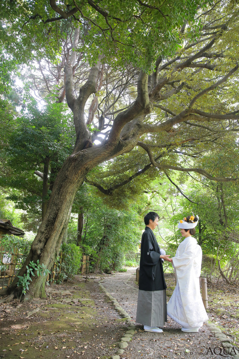 大樹の下で手を取り合って