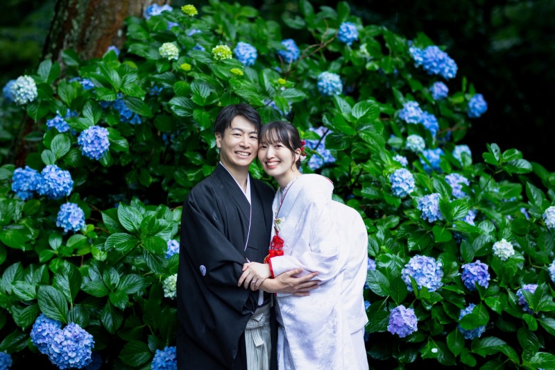 紫陽花と
