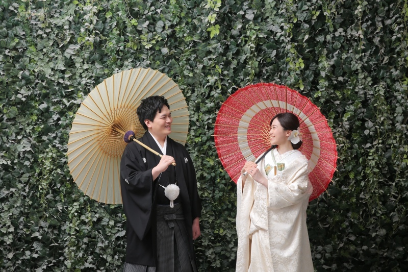 グリーンの背景×和傘