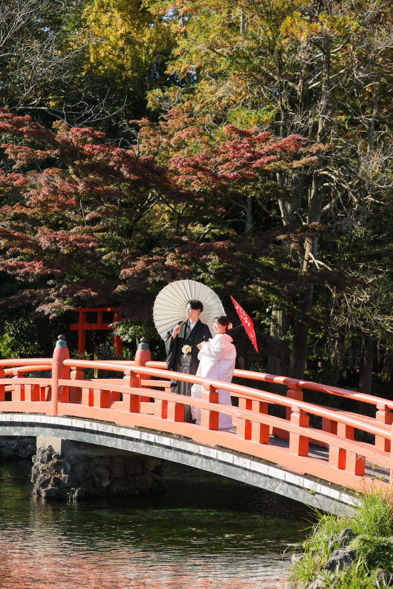 橋の上から