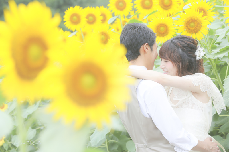 大好きな。。。