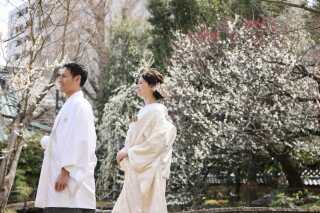 満開の梅と撮る和装ロケーション