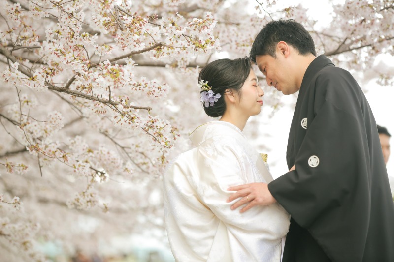 ワンチャンは休憩中