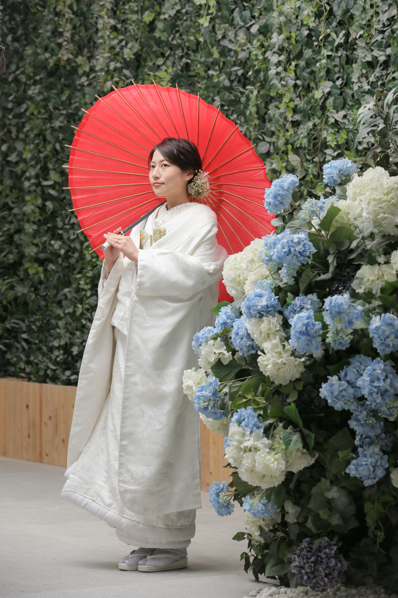 屋内庭園スタジオ 