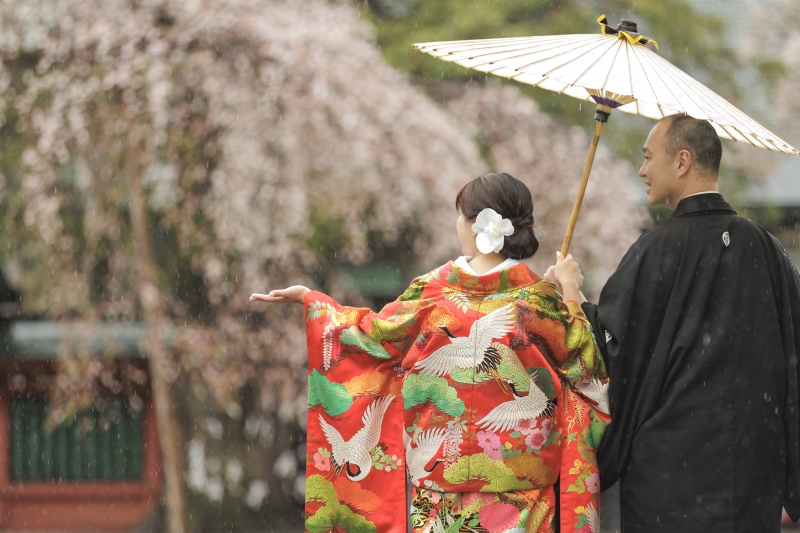 煌めく雨粒と