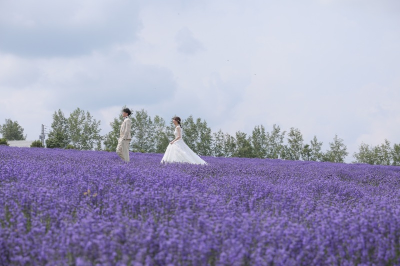 満開のラベンダーに囲まれての撮影