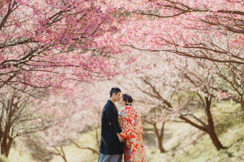 河津桜と菜の花の和洋撮影!!